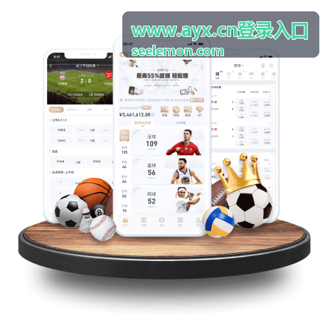 AYX 登录入口网页端打开方式示意图